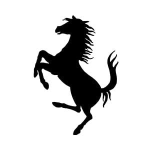 ferrari Balidan Shauryam Daksham Yuddhe 4D Case