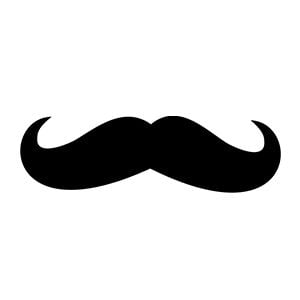 mustache Balidan Shauryam Daksham Yuddhe 4D Case