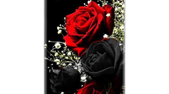 Red And Black Roses Slim Case Back Cover